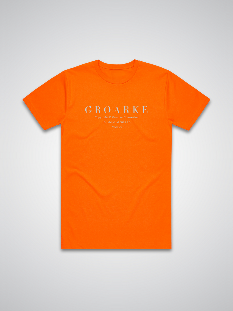 Blenders T-shirt Orange